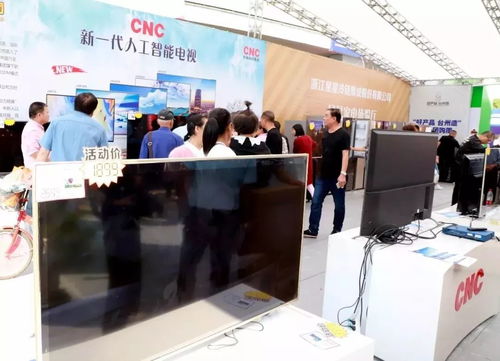 2019臺(tái)州商務(wù) 嘉年華系列活動(dòng)亮點(diǎn)紛呈