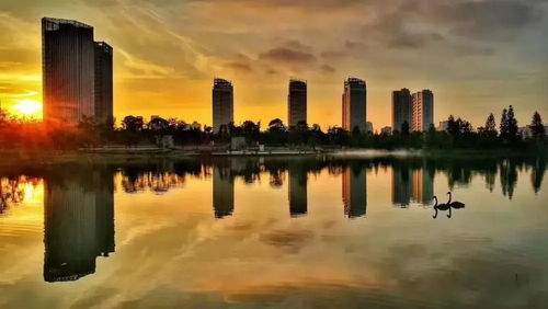 臺州刮起 物業革命 風,期待未來 理想家 生活