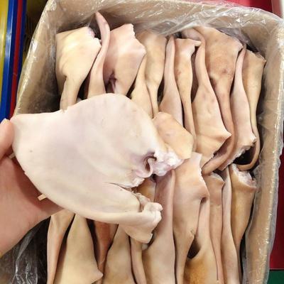 浙江臺(tái)州溫嶺市新鮮豬耳朵批發(fā) 價(jià)格實(shí)惠，品質(zhì)保證