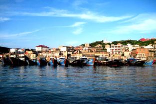 臺(tái)州大陳 “漁小二”便民服務(wù)不停步，助力海島生活更便捷