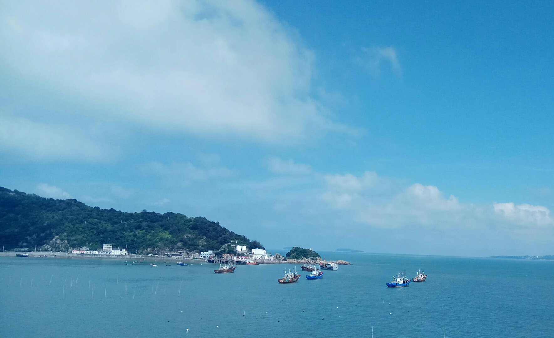 探訪臺(tái)州玉環(huán)縣大麥嶼街道龍灣村 鄉(xiāng)村振興的基層實(shí)踐